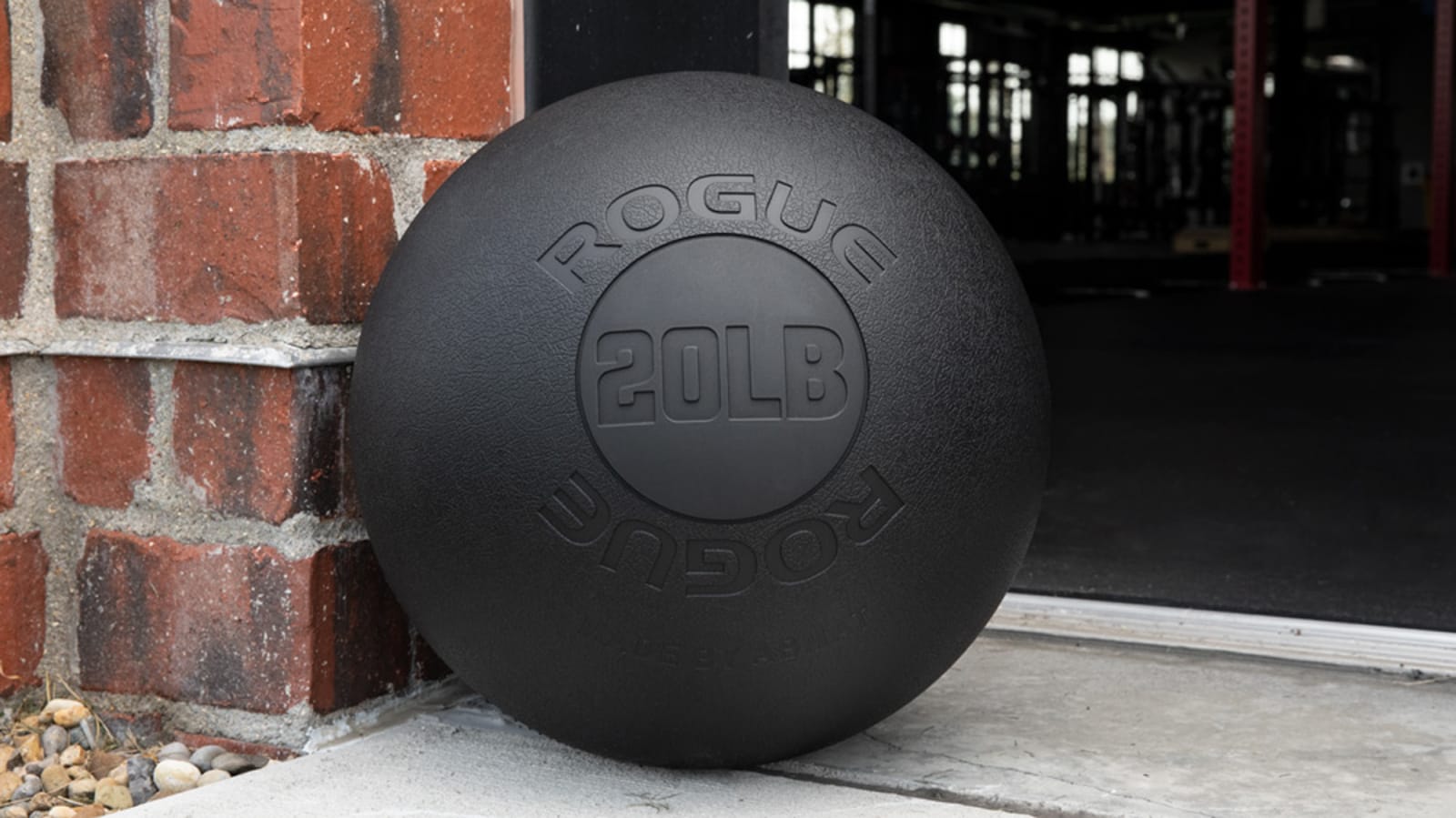 Rogue 14 lb wall sale ball
